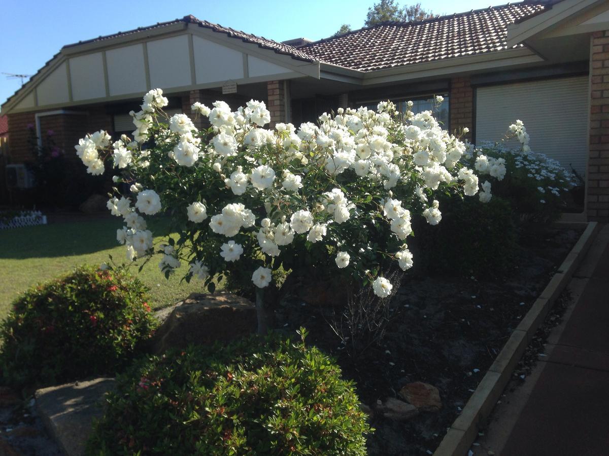 Murdoch Station Bed & Breakfast 퍼스 외부 사진